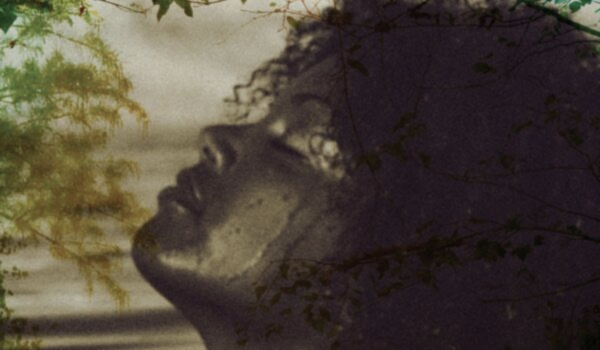 Flexuality: Elastic Sexual Norms in the Work of Octavia Butler